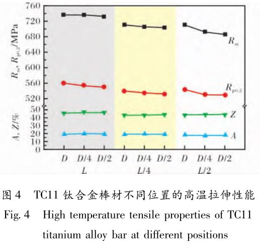 1708396689287379.jpg t4.jpg