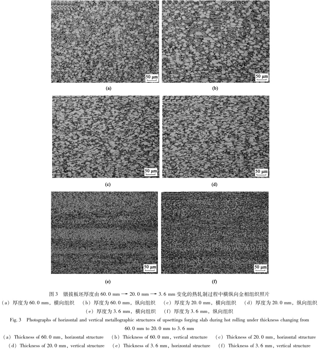 1720353830807769.jpg t3.jpg