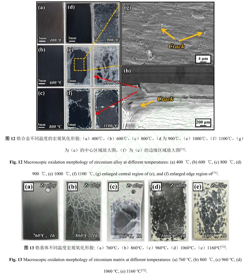 1729135305992344.jpg 12-13.jpg