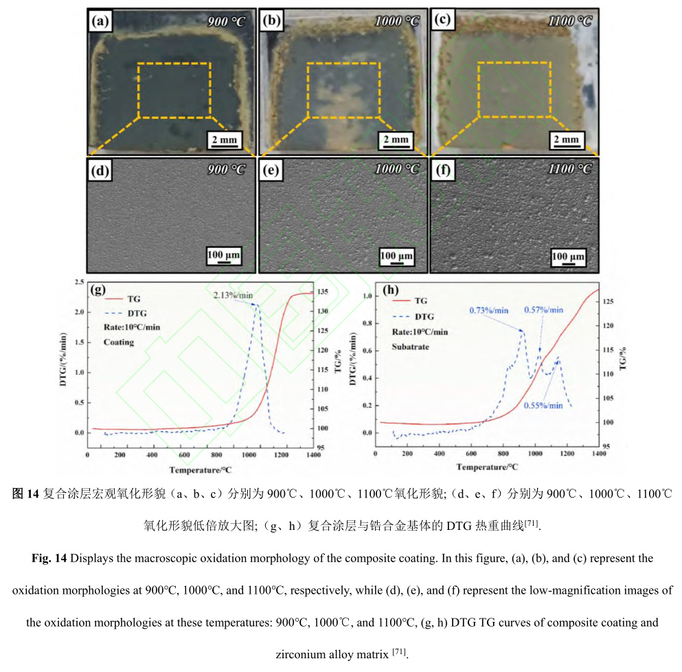 1729135317707743.jpg 14.jpg