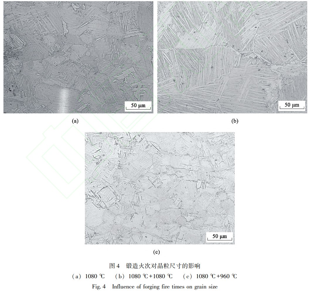 1738832728577886.jpg 4.jpg